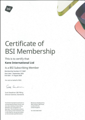 BSI